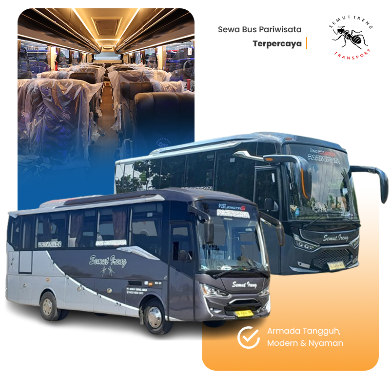 about us
