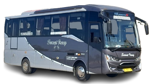 bus 2022 2023